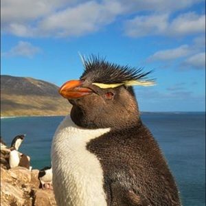 Meet your Posher, James